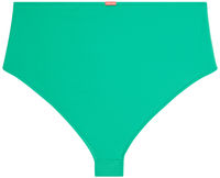 Emerald High Waist Bikini Bottom image