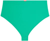 Emerald High Waist Bikini Bottom image