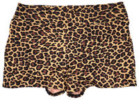 Leopard Swim Shorts image