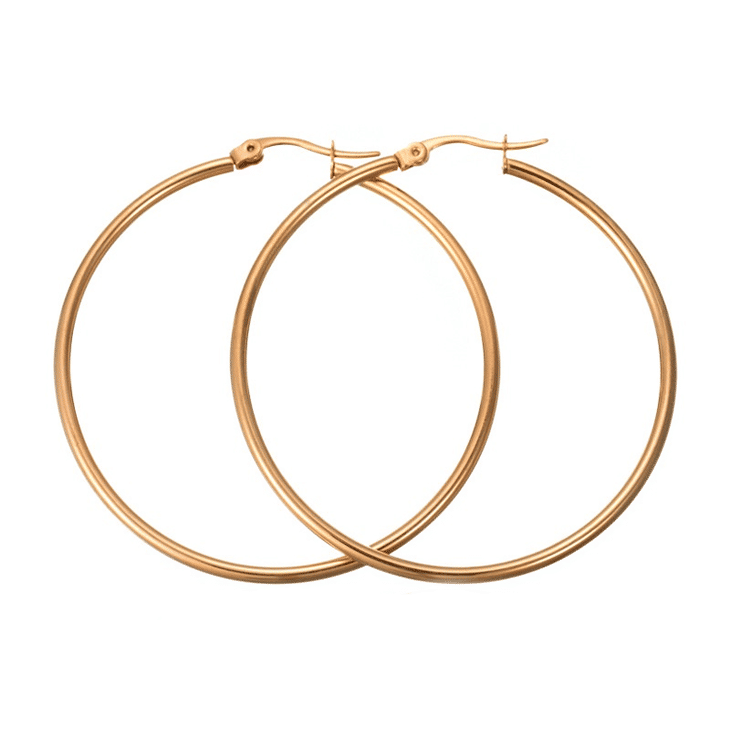 Classic Gold Hoop Earrings image