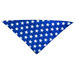 Patriotic Star Head Scarf thumbnail